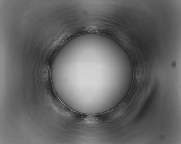 X0000116490603200912231153