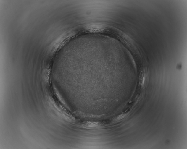 X0000116490604200912231153