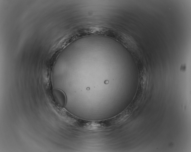 X0000116490607200912231153