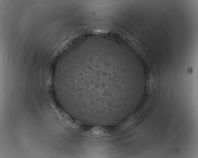 X0000116490608200912231153