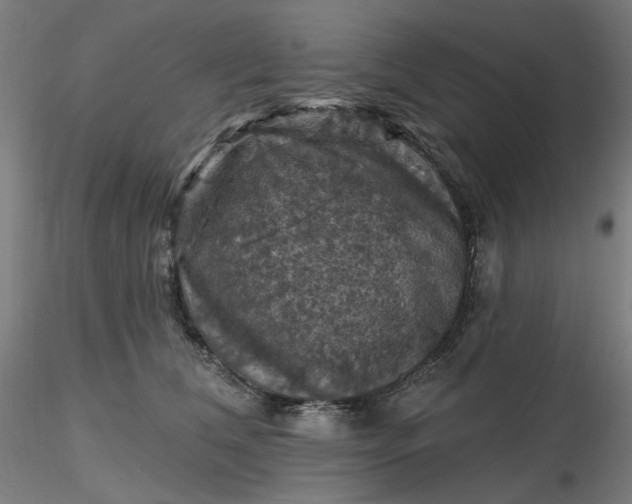 X0000116490612200912231153