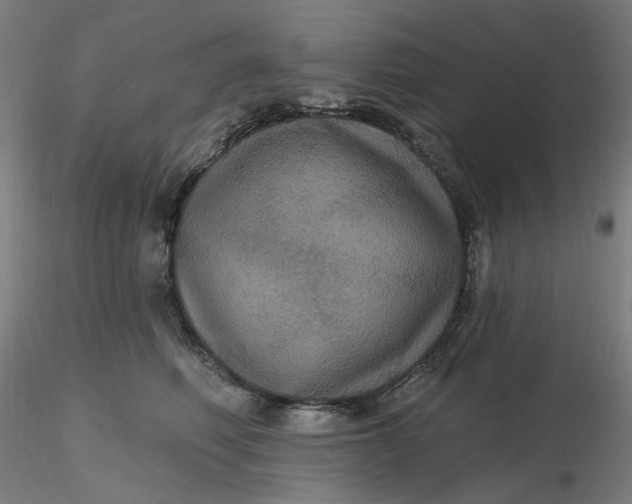 X0000116490614200912231153