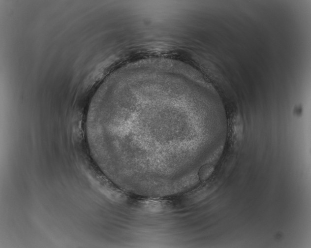 X0000116490615200912231153