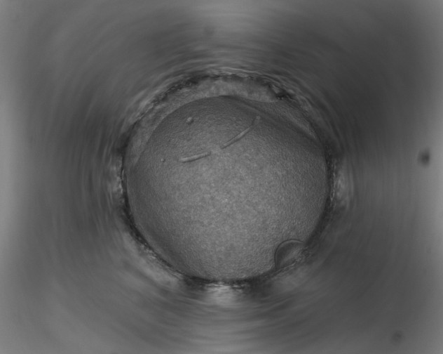 X0000116490616200912231153