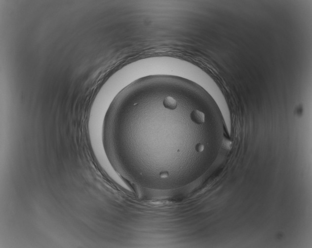 X0000116490617200912231153