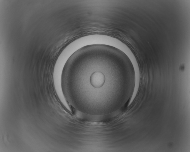 X0000116490621200912231153