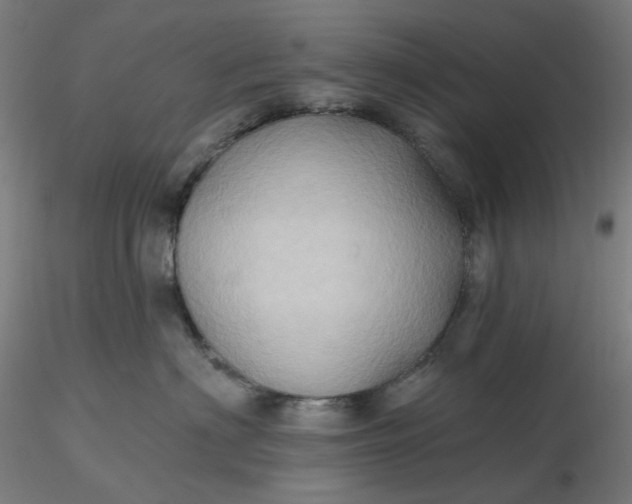 X0000116490622200912231153