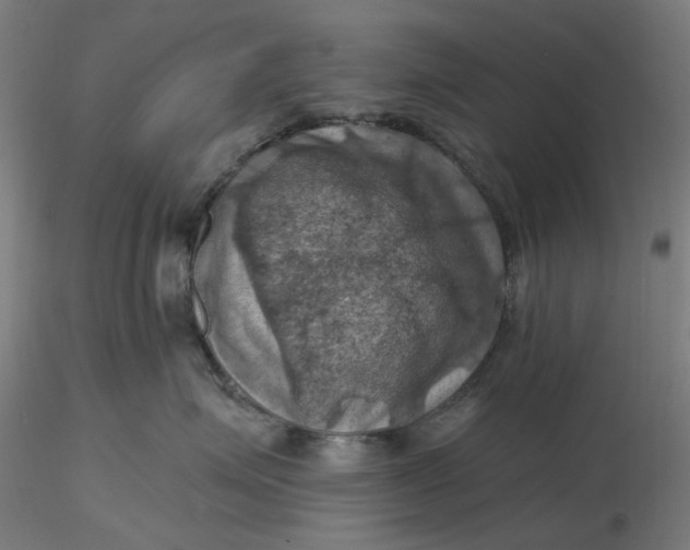 X0000116490623200912231153