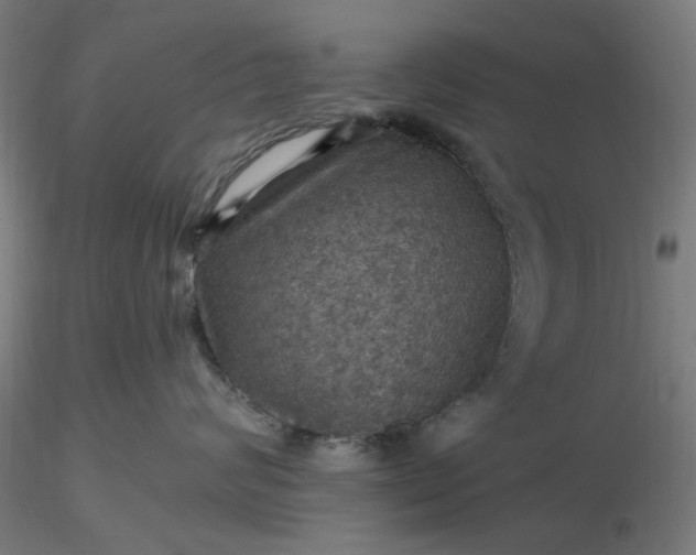 X0000116490624200912231153