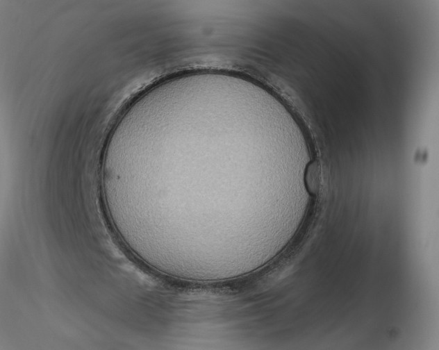 X0000116490625200912231152