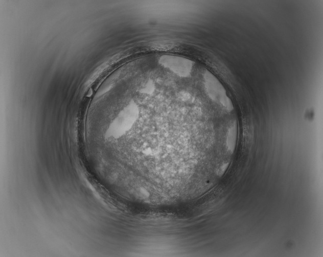 X0000116490626200912231152