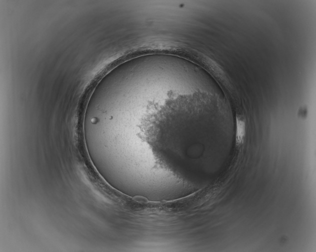 X0000116490627200912231152