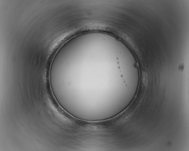 X0000116490629200912231152