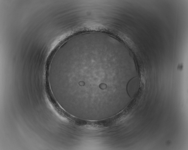 X0000116490630200912231152