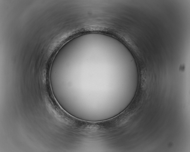 X0000116490631200912231152