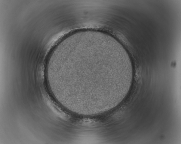 X0000116490632200912231152