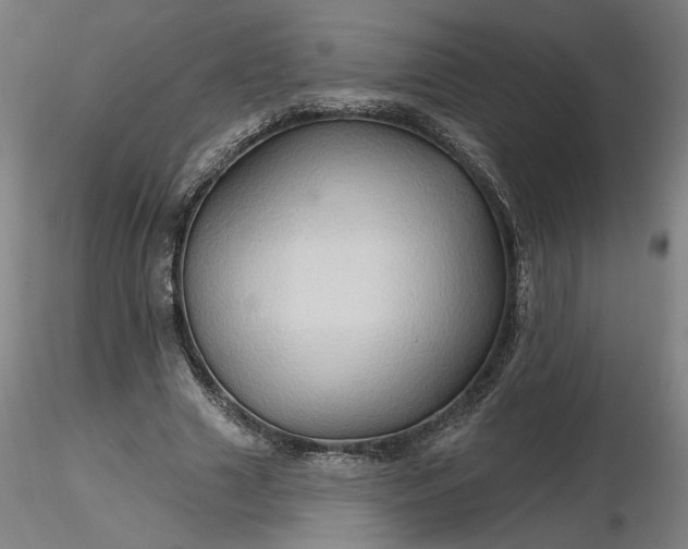 X0000116490633200912231152