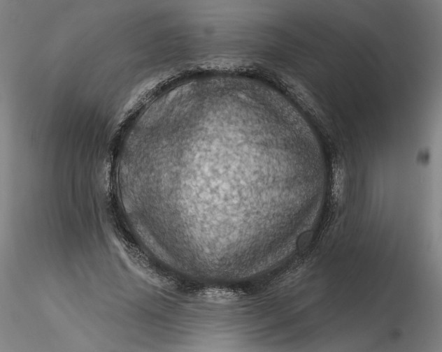 X0000116490636200912231152