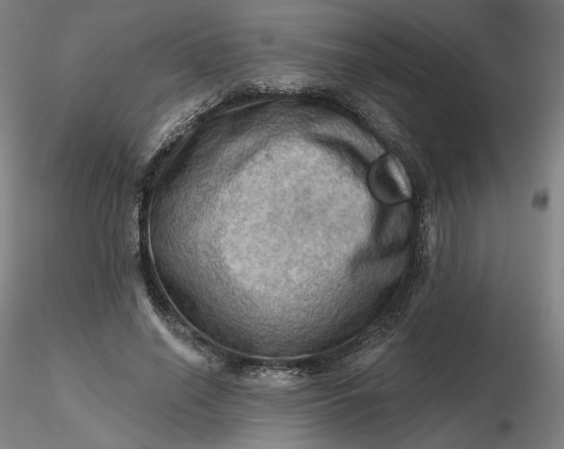 X0000116490638200912231152