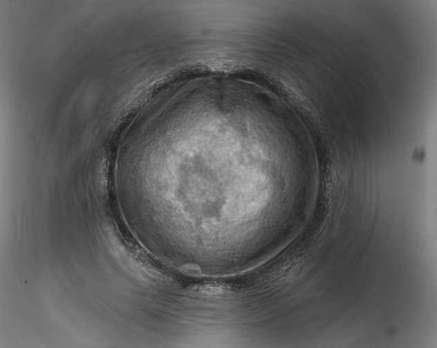 X0000116490639200912231152