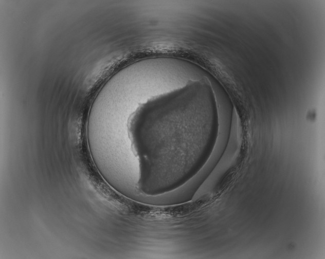 X0000116490640200912231152