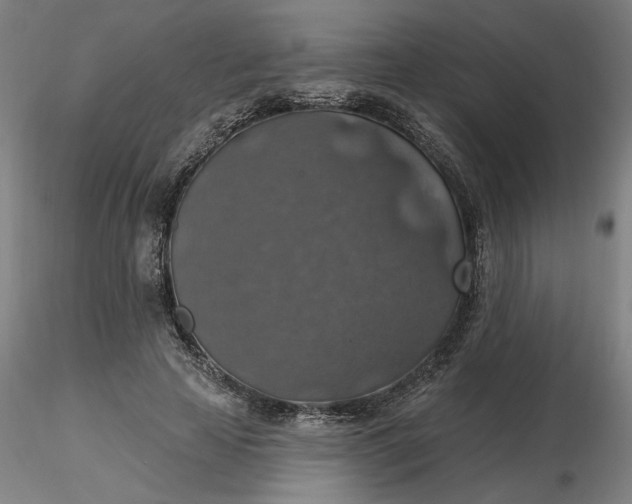 X0000116490641200912231152