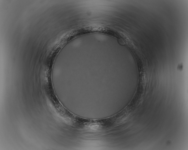 X0000116490643200912231152