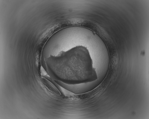 X0000116490644200912231152