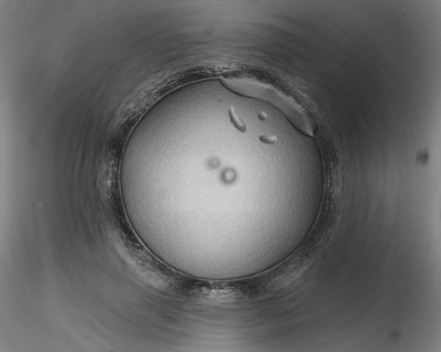 X0000116490645200912231152