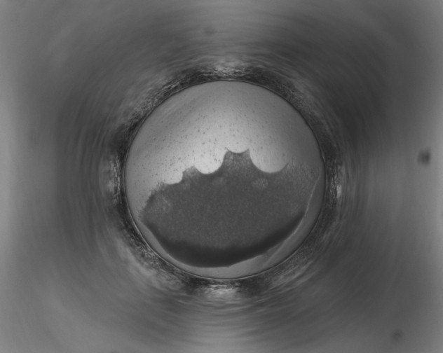 X0000116490651200912231152