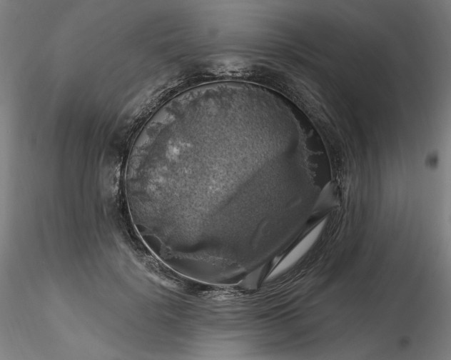 X0000116490652200912231152