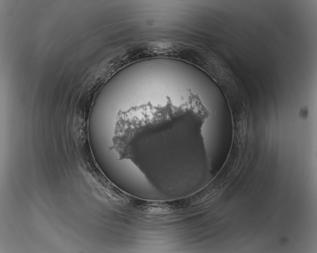 X0000116490653200912231152