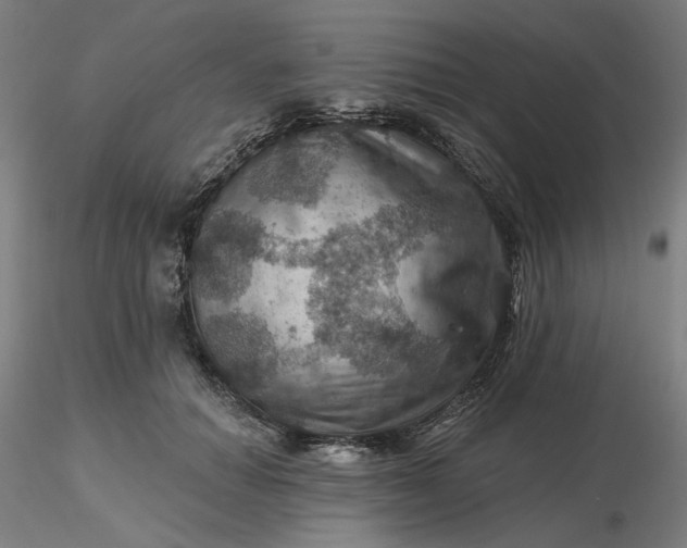 X0000116490654200912231152