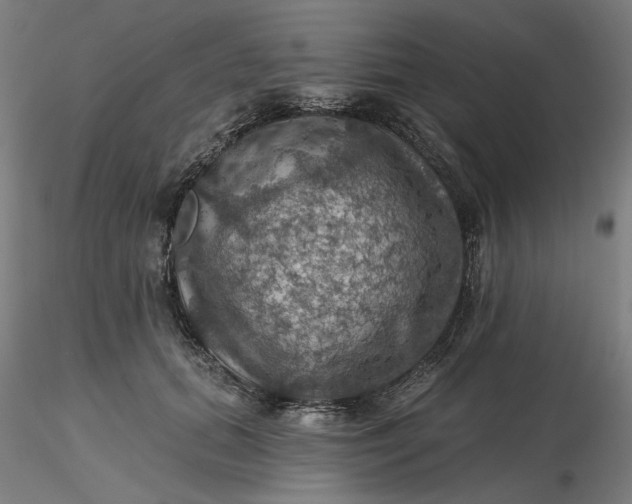 X0000116490655200912231152