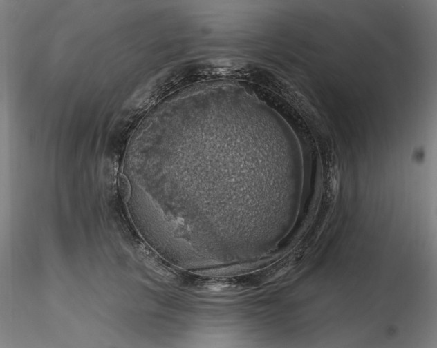 X0000116490657200912231152