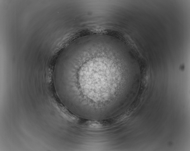 X0000116490658200912231152