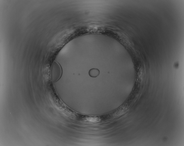 X0000116490659200912231152