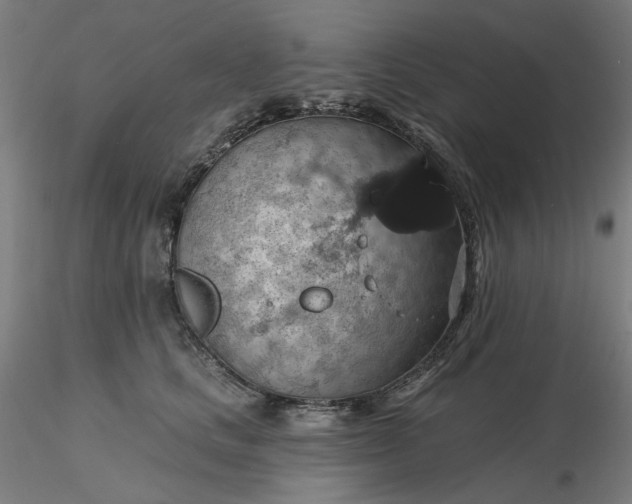 X0000116490661200912231152