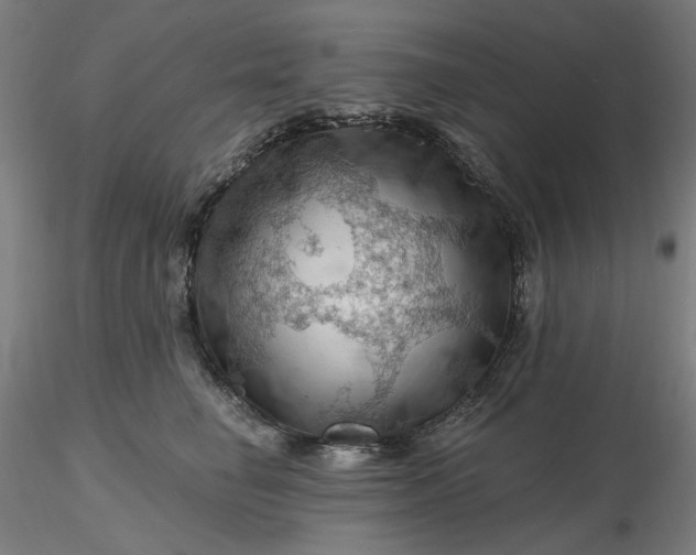 X0000116490662200912231152