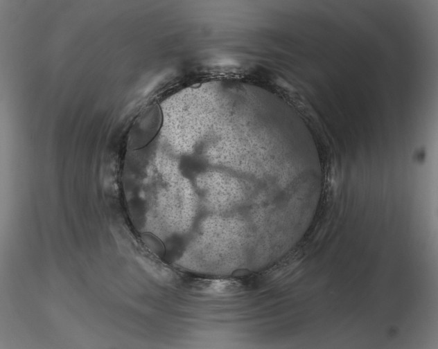 X0000116490663200912231152