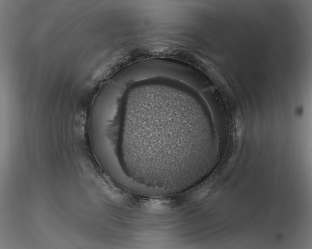 X0000116490664200912231152