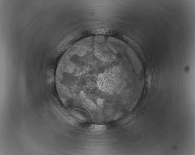 X0000116490665200912231152