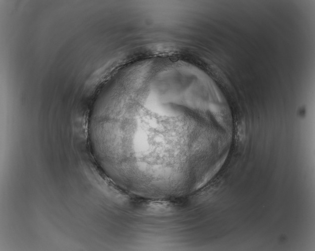 X0000116490666200912231152