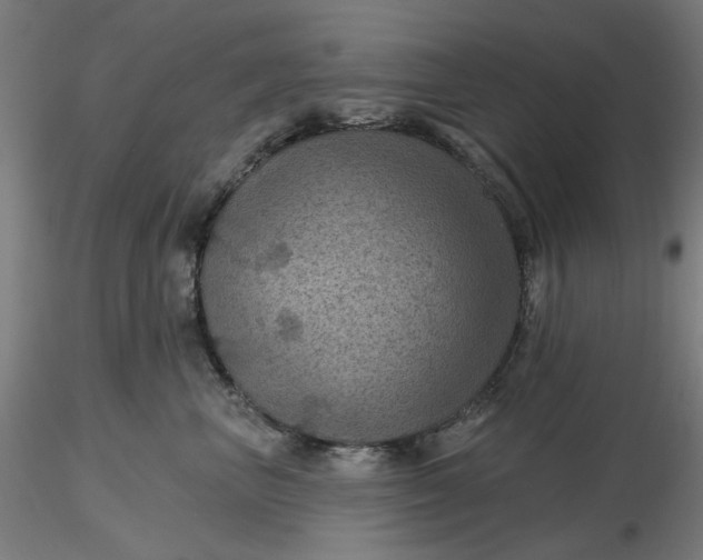 X0000116490667200912231152