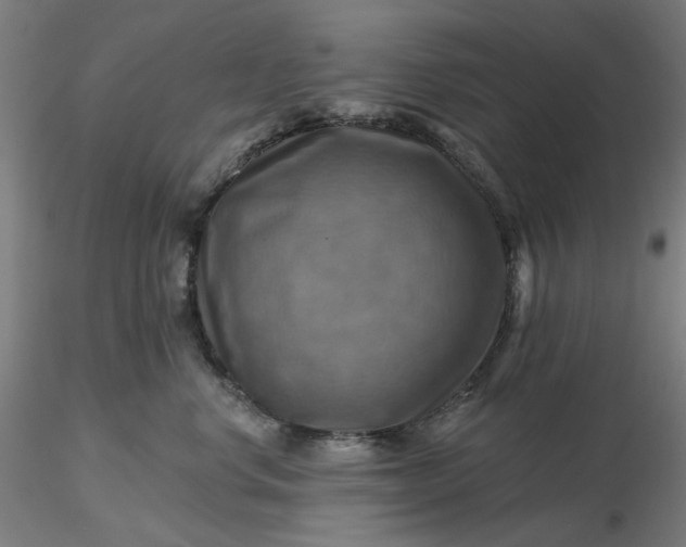 X0000116490668200912231152