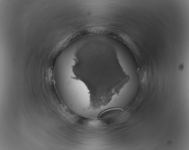 X0000116490669200912231152