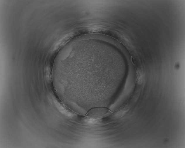 X0000116490670200912231153