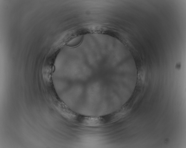 X0000116490671200912231153