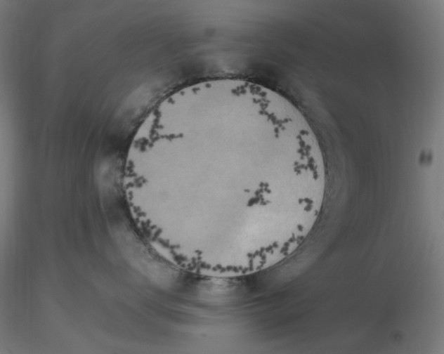 X0000116490672200912231153