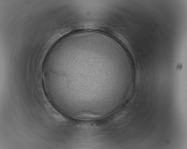 X0000116490673200912231152